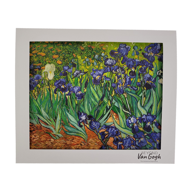 Field with Irises Matted Print 8x10