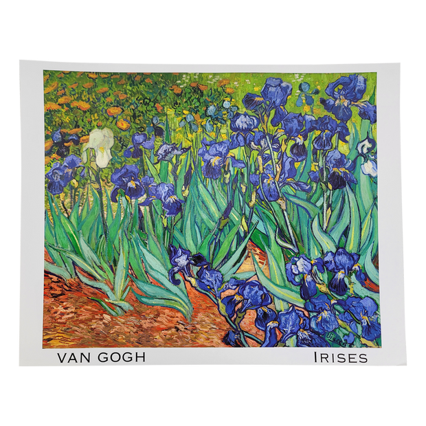 Irises Poster