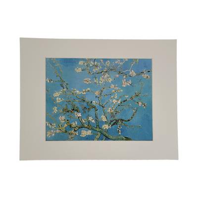 Almond Blossoms Framed Photo