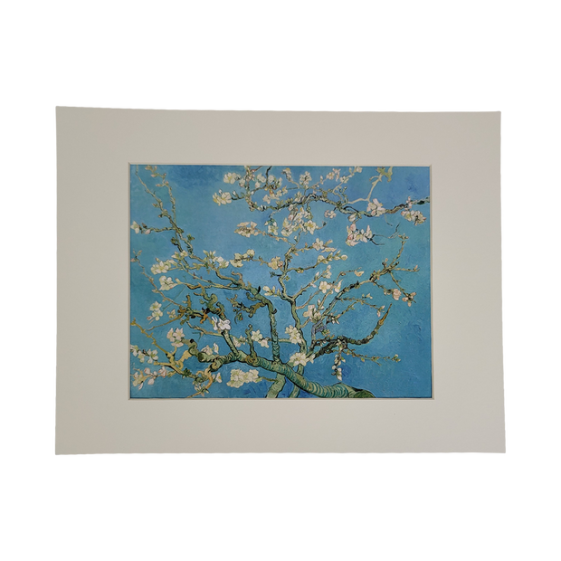 Almond Blossoms Framed Photo