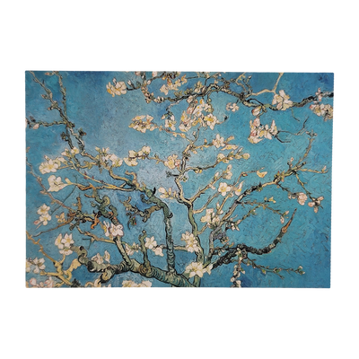 Almond Blossoms Postcard