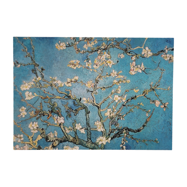 Almond Blossoms Postcard