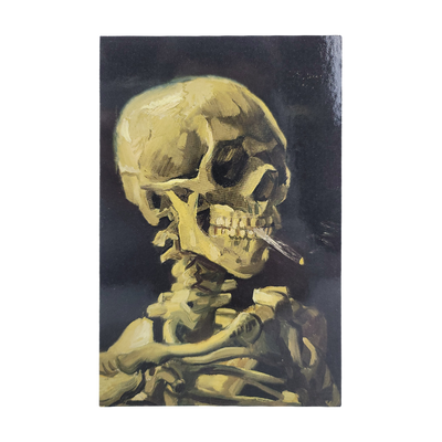 Skeleton of a Skull Postcard