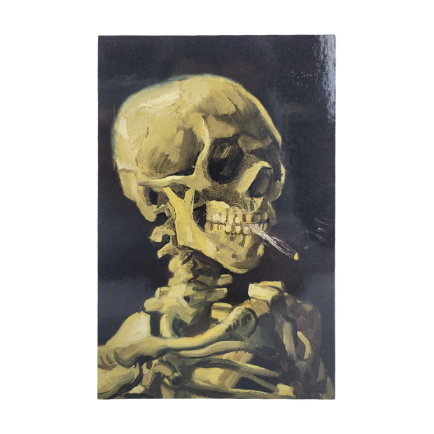 Skeleton of a Skull Postcard